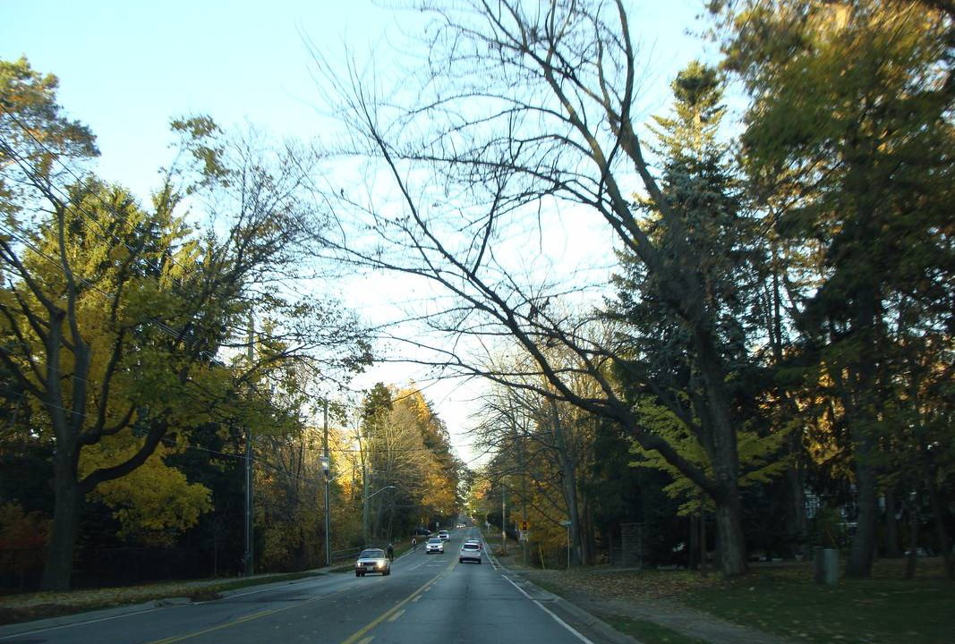 Photo of Others in Cooksville