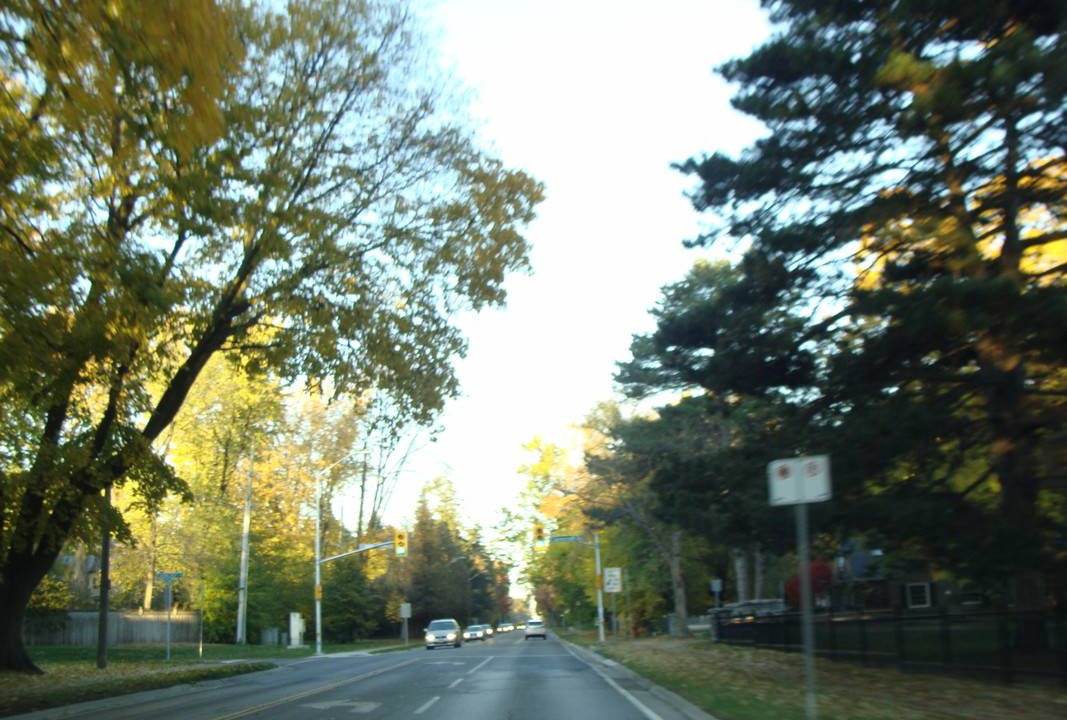 Photo of Others in Cooksville