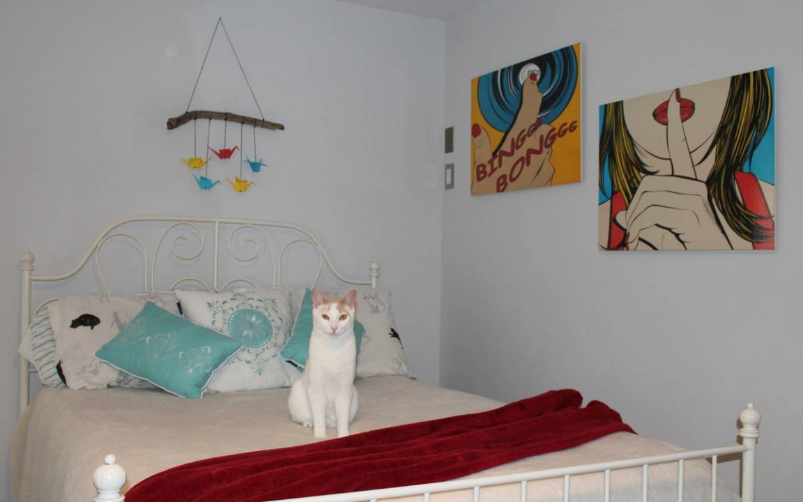 Photo of Bedroom in Carlingwood West - Glabar Park - McKellar Heights