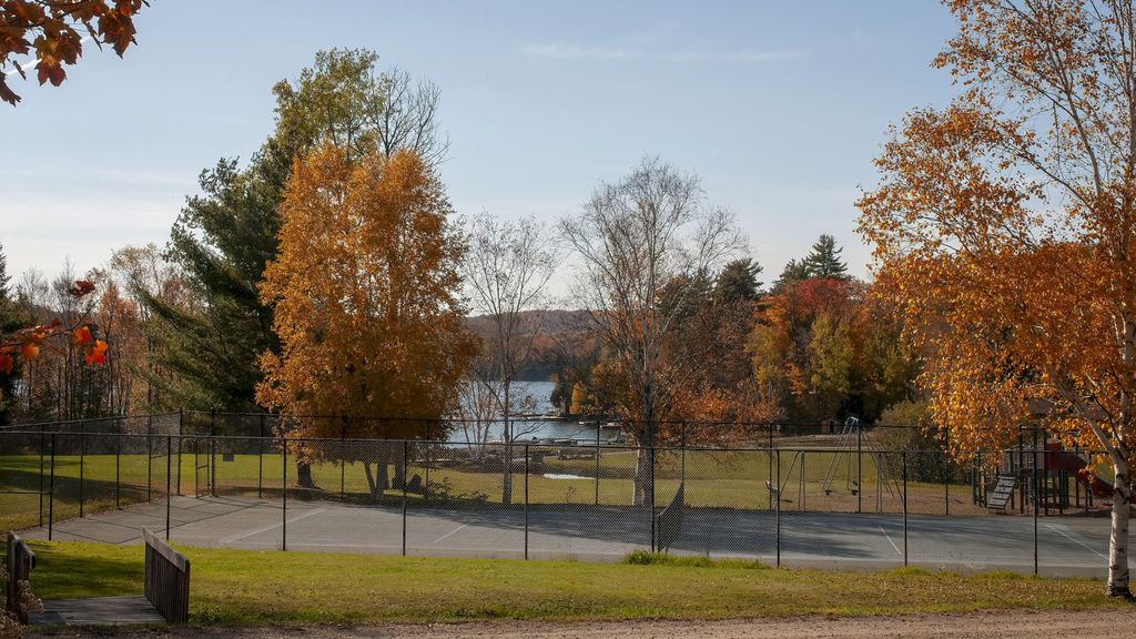 Photo of Buildings in Lake of Bays