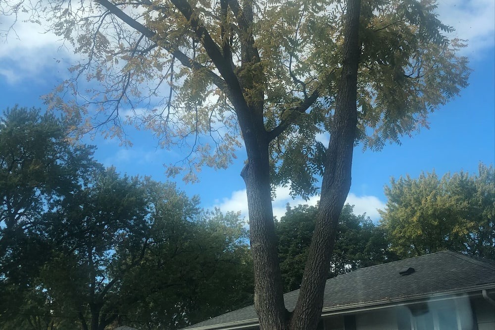 Photo of Outdoor in East Bloomington