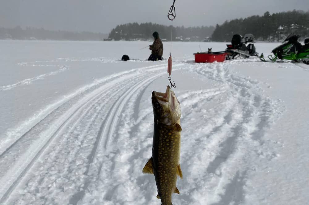 Photo of Others in Port Carling