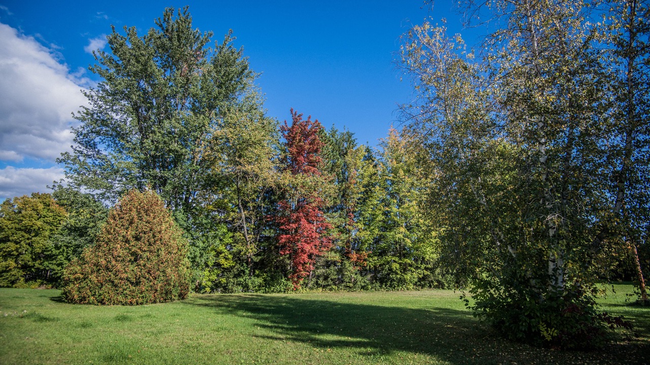 Photo of Outdoor in Plantagenet