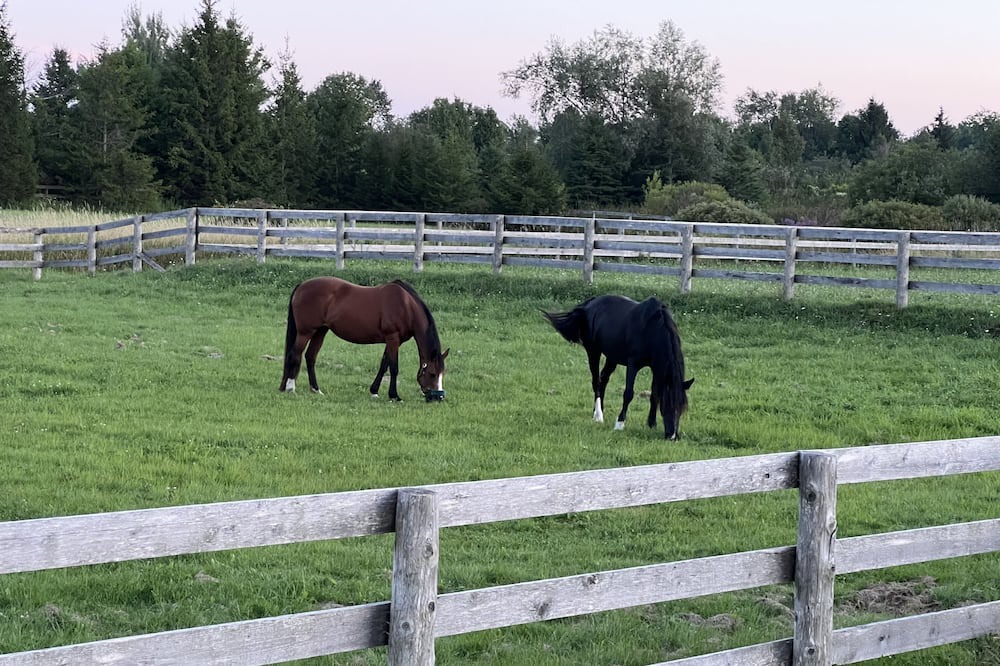 Photo of Others in Caledon