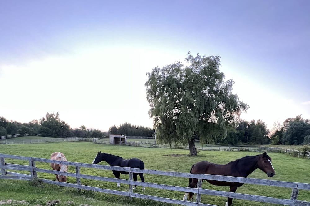 Photo of Others in Caledon