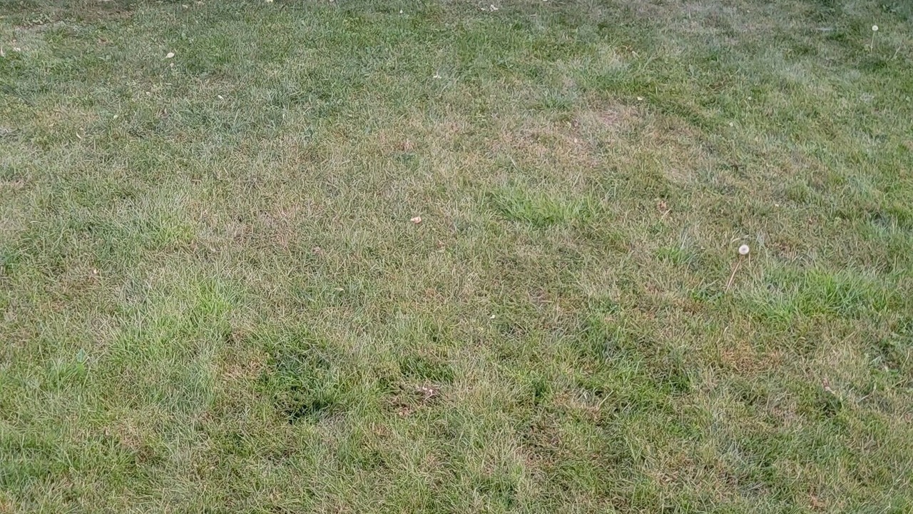 Photo of Others in Shakopee