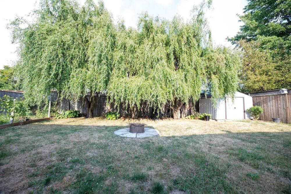 Photo of Outdoor in St. Clair