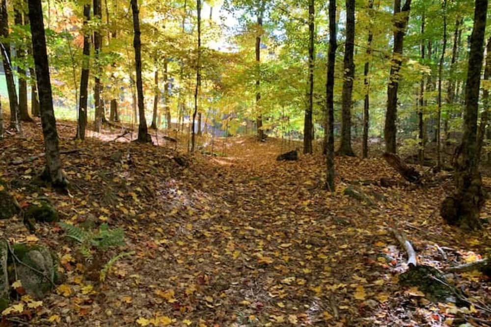 Photo of Others in Minden