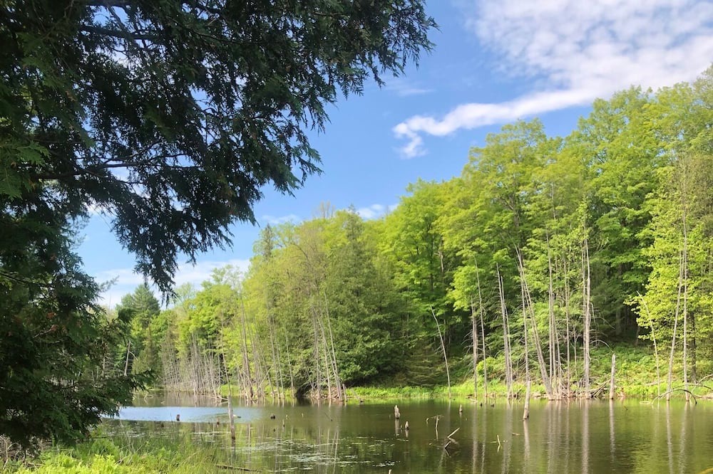 Photo of Others in Marmora