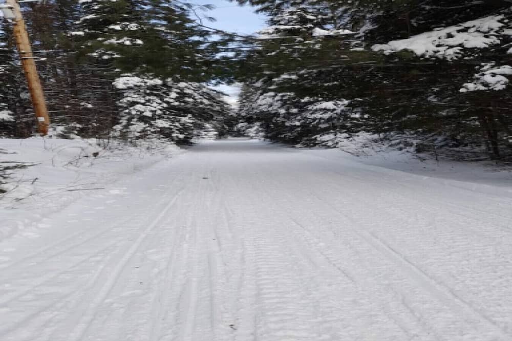Photo of Outdoor in Coe Hill