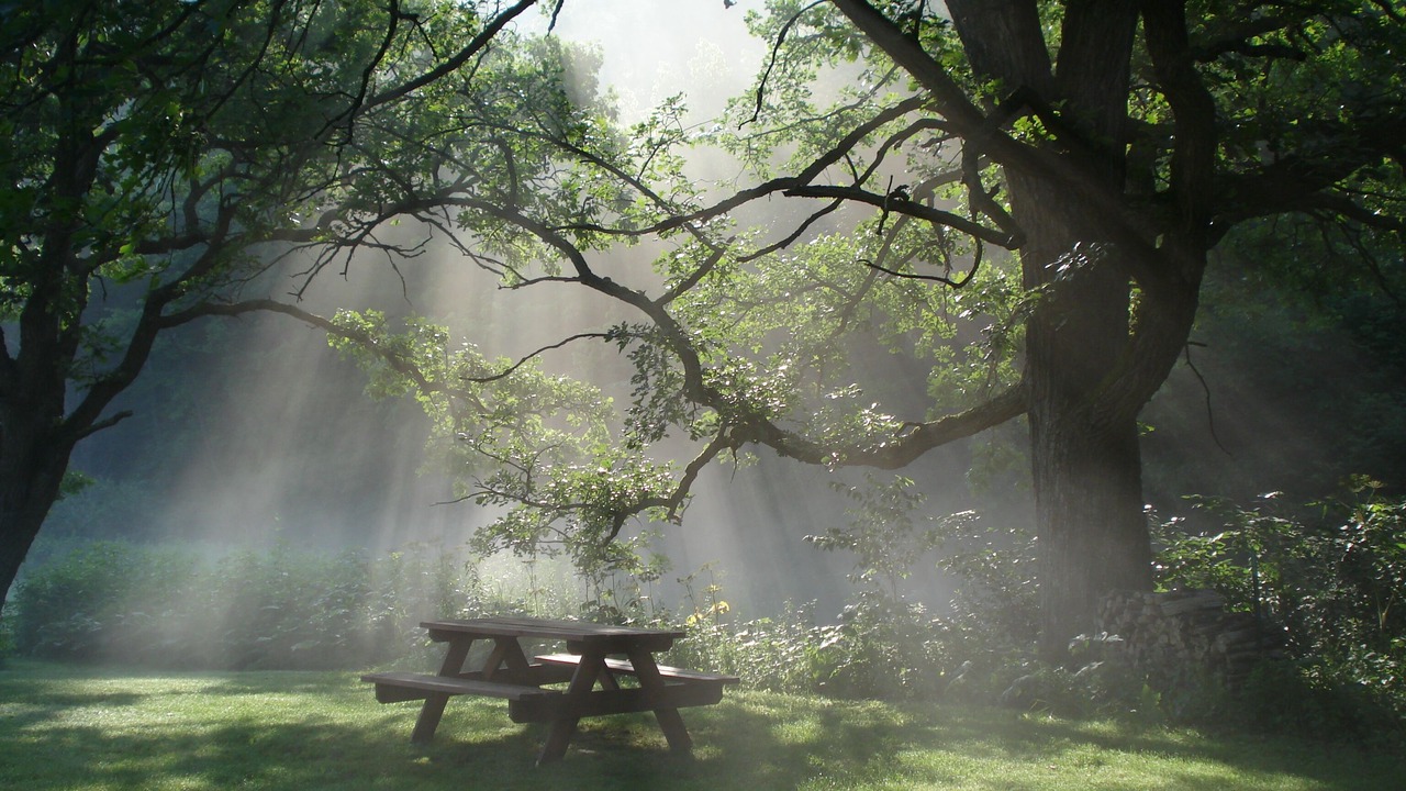 Photo of Outdoor in Houston County