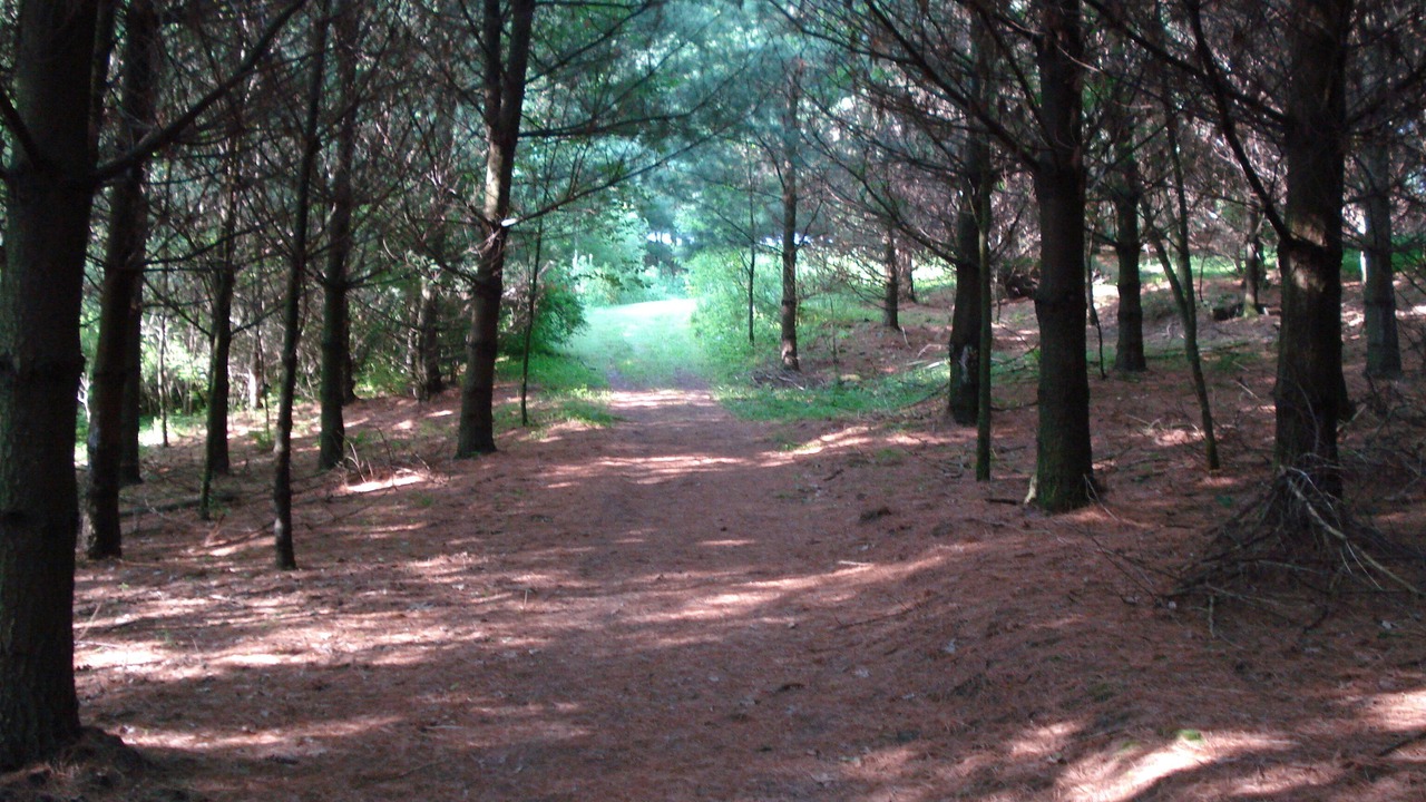 Photo of Outdoor in Houston County