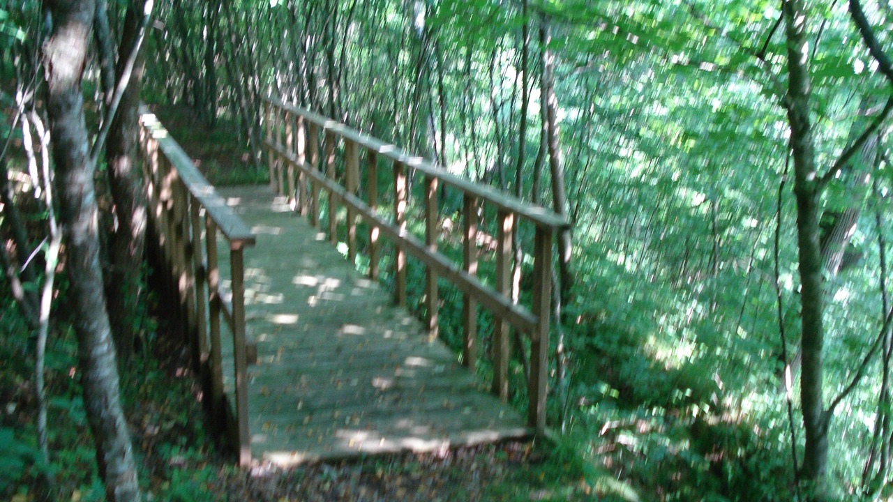 Photo of Outdoor in Houston County