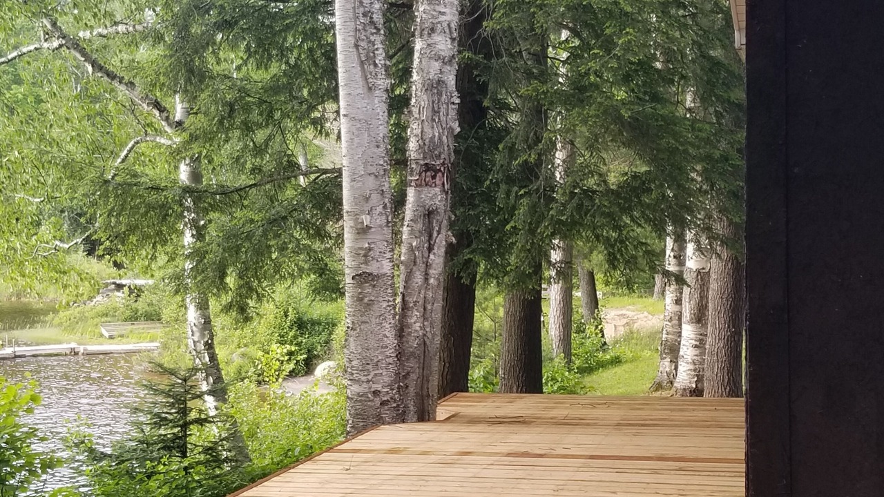 Photo of Outdoor in Novar