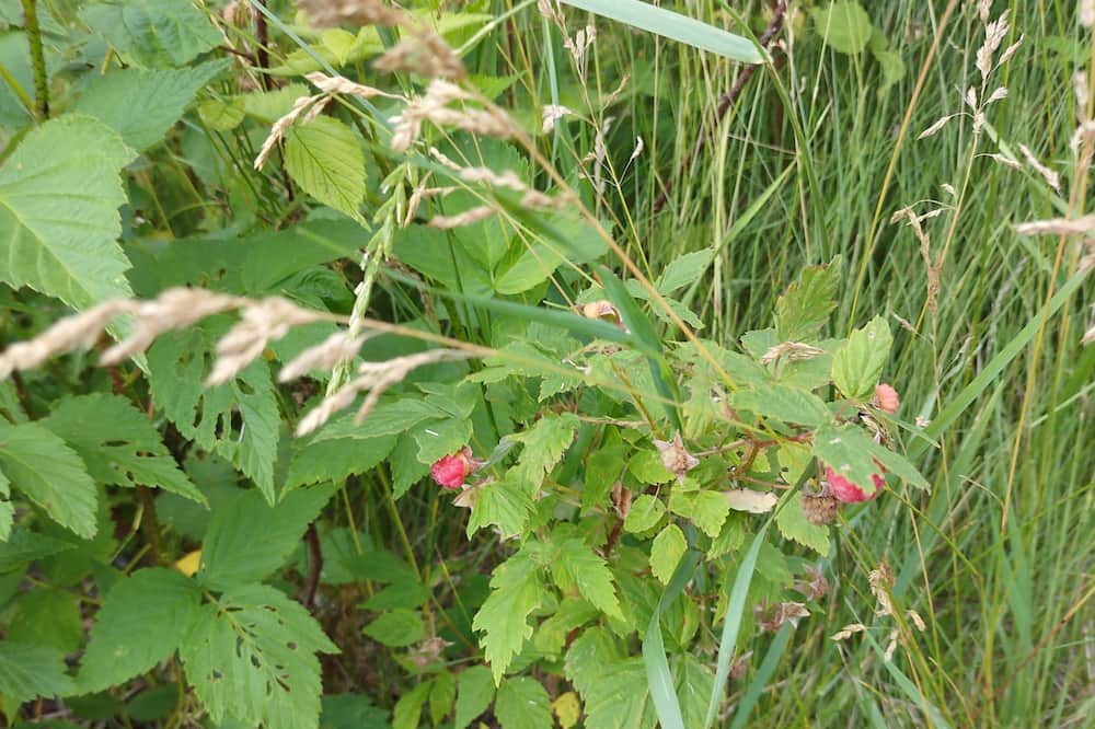 Photo of Outdoor in Akeley