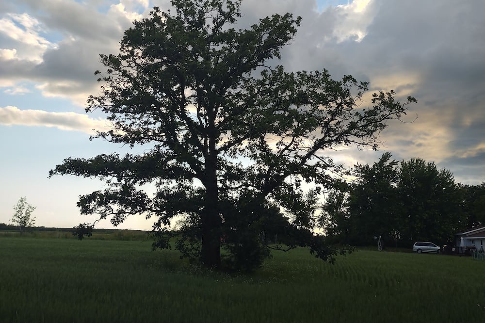 Photo of Outdoor in Akeley