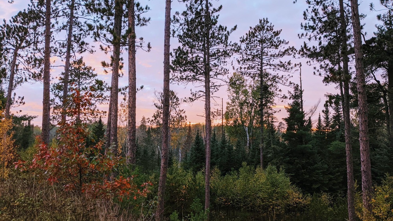 Photo of Outdoor in Grand Rapids