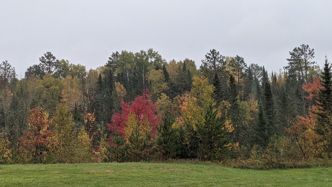 Photo of Outdoor in Grand Rapids