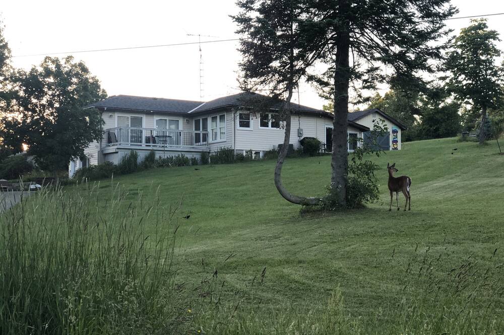 Photo of Outdoor in Asphodel-Norwood