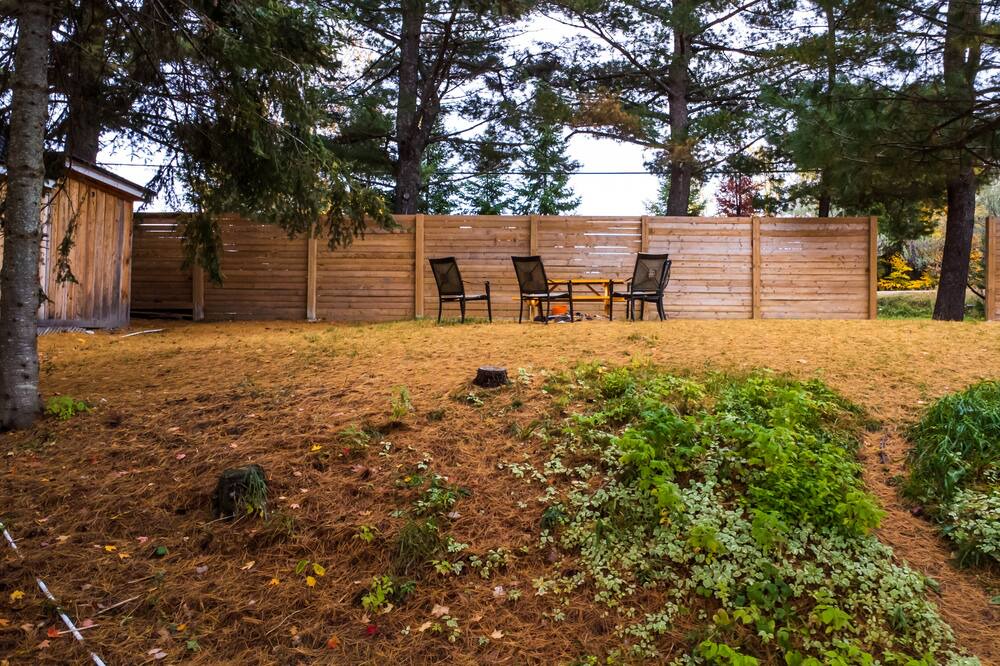 Photo of Outdoor in Muskoka Lakes