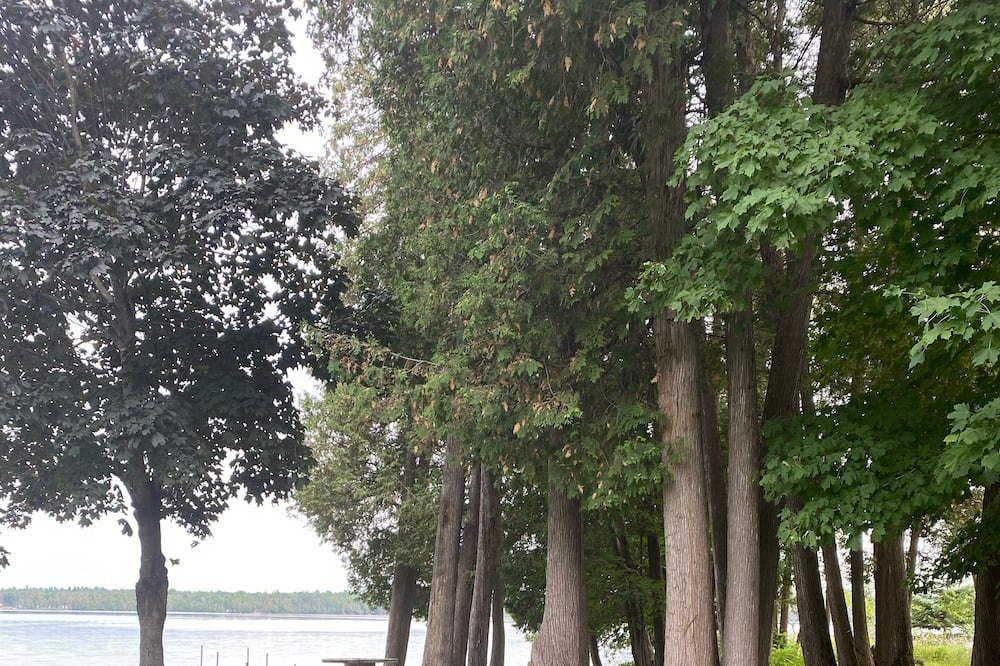 Photo of Outdoor in North Algona Wilberforce