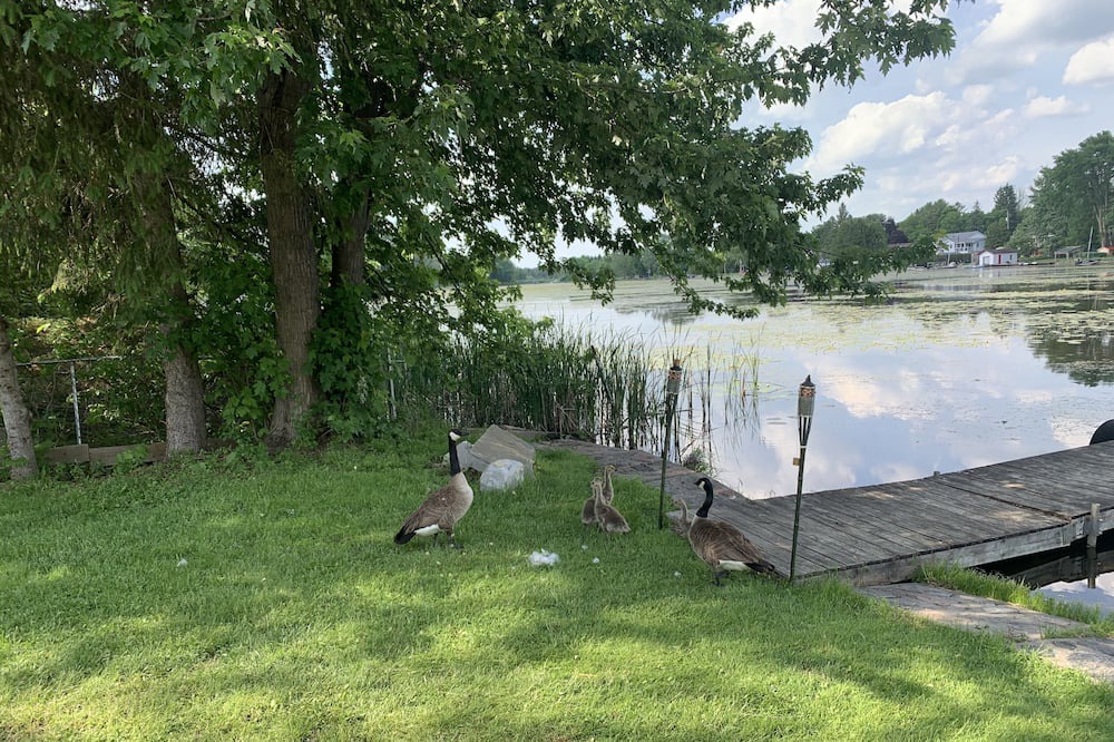 Photo of Outdoor in Kawartha Lakes