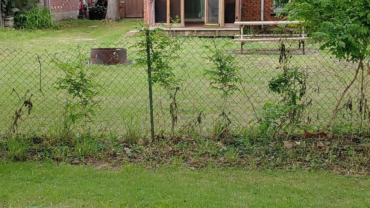 Photo of Outdoor in St. Williams