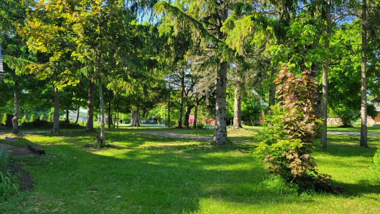 Photo of Outdoor in St. Williams