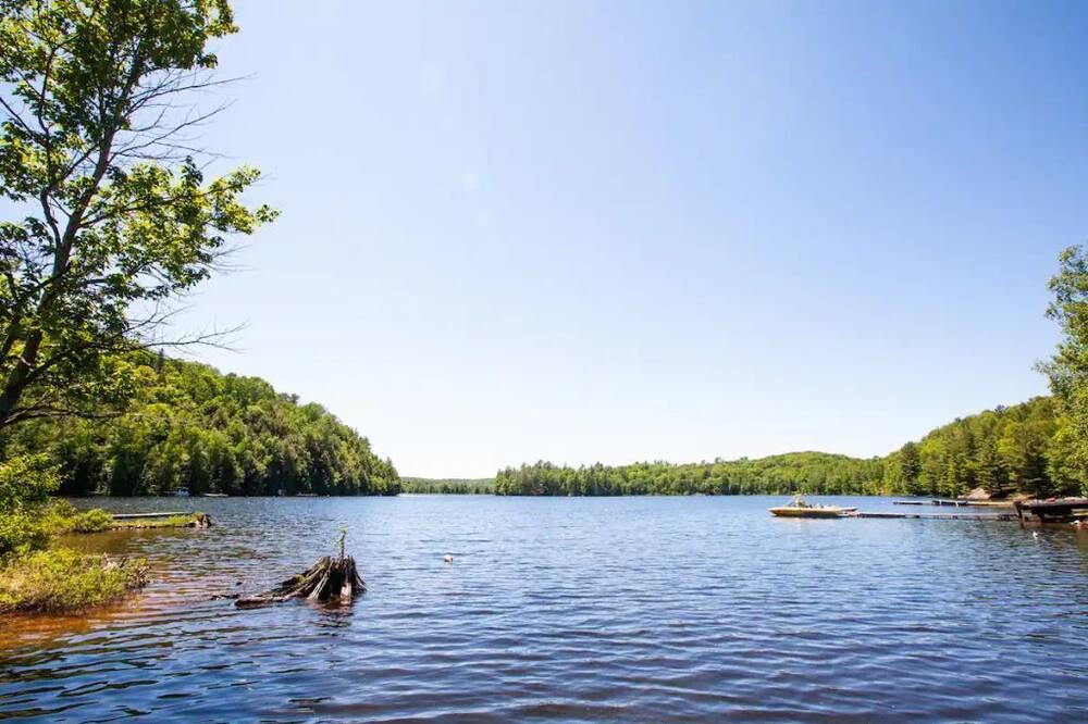 Photo of Others in Algonquin Highlands