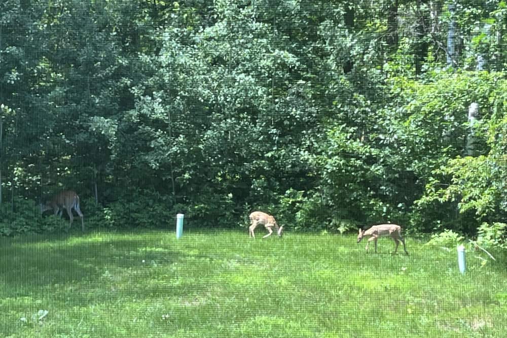Photo of Outdoor in Brainerd