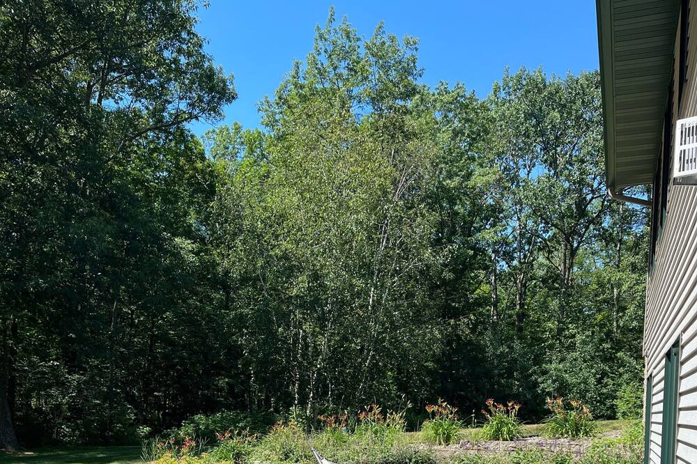 Photo of Outdoor in Brainerd