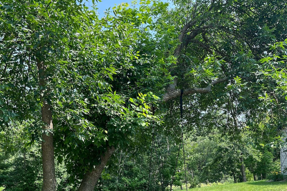 Photo of Outdoor in Brainerd
