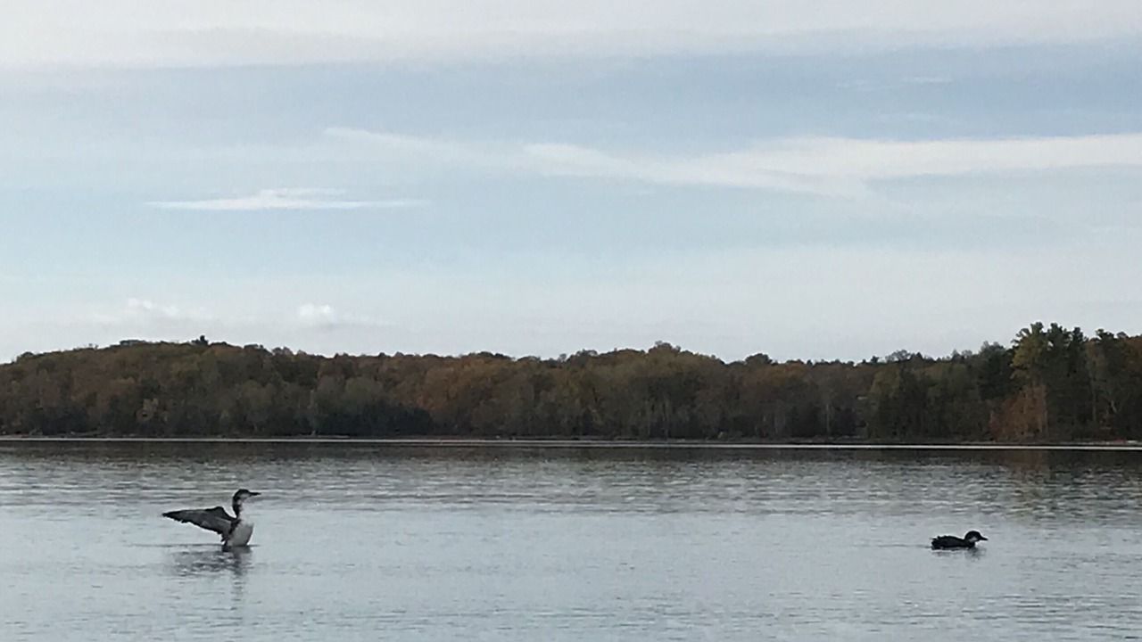 Photo of Others in Central Frontenac