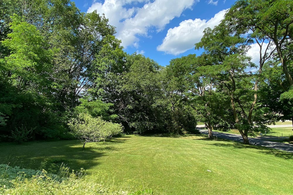 Photo of Outdoor in Hastings
