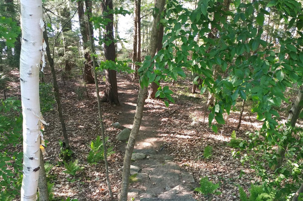 Photo of Outdoor in Rosseau