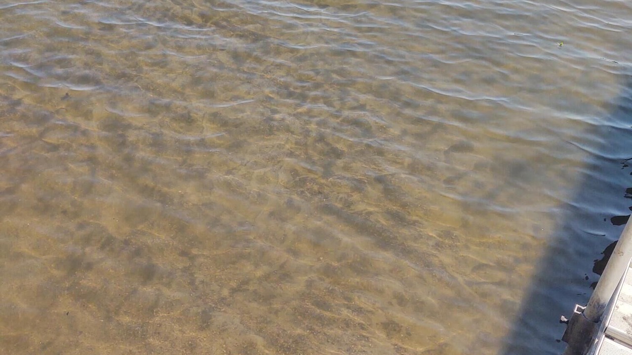 Photo of Others in Maple Lake