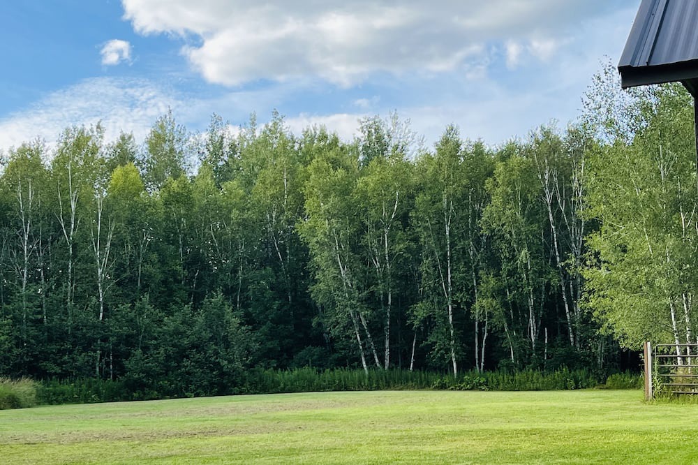 Photo of Outdoor in Sturgeon Lake