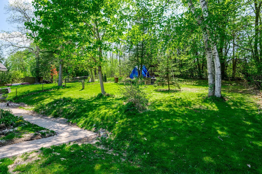 Photo of Outdoor in Roseneath