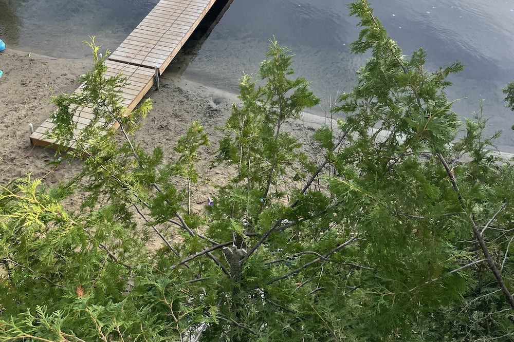 Photo of Outdoor in Central Frontenac