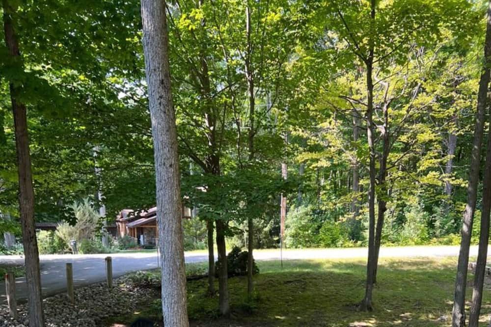 Photo of Outdoor in Tiny