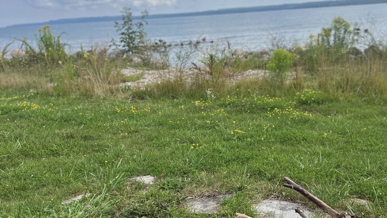 Photo of Others in Georgian Bluffs