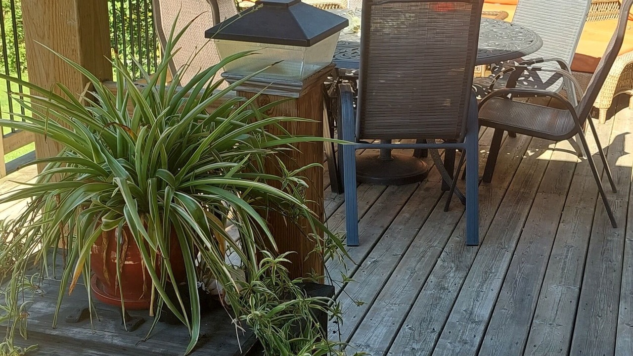 Photo of Patio Balcony in Cannifton