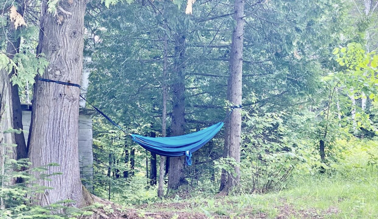 Photo of Others in Minden Hills