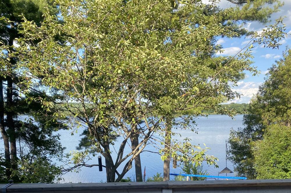 Photo of Patio Balcony in Whitewater Region