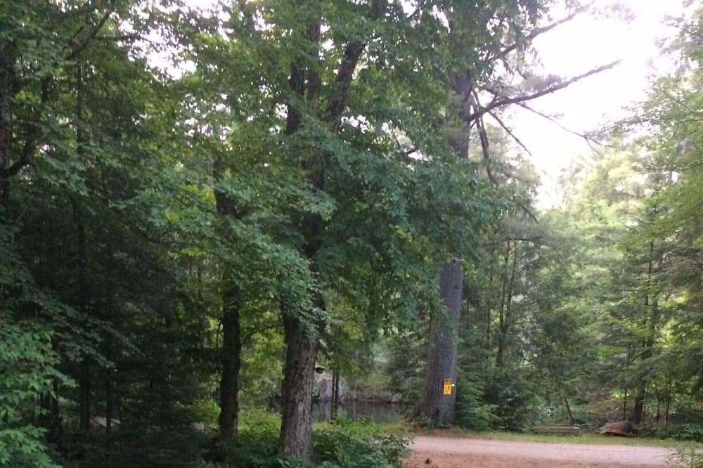 Photo of Others in Bracebridge