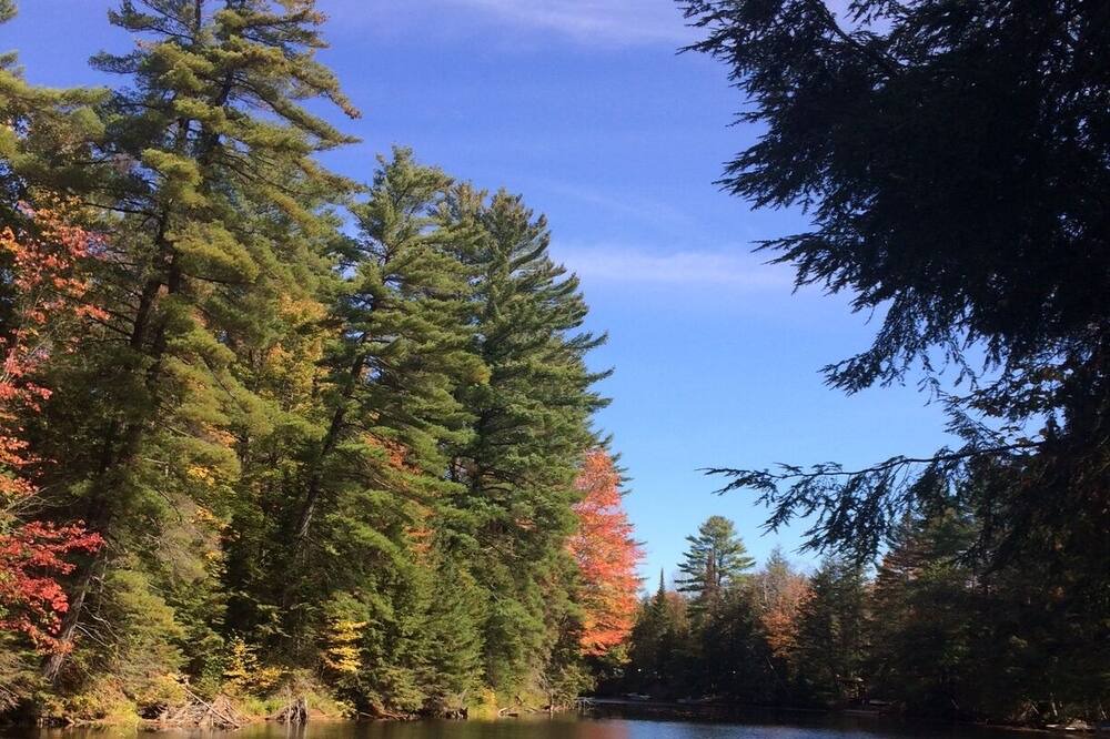 Photo of Others in Bracebridge