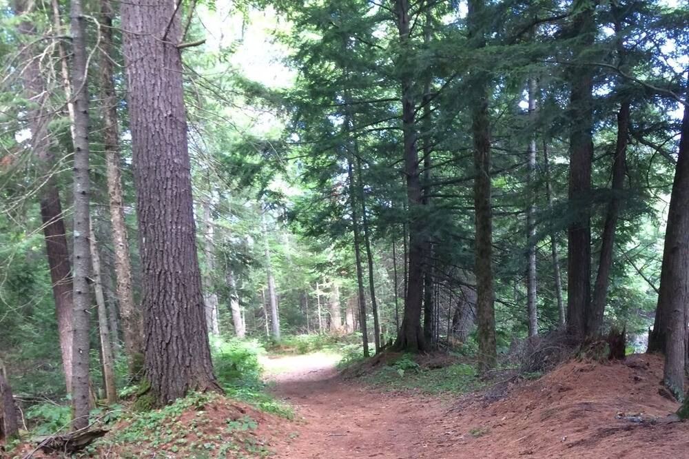 Photo of Others in Bracebridge