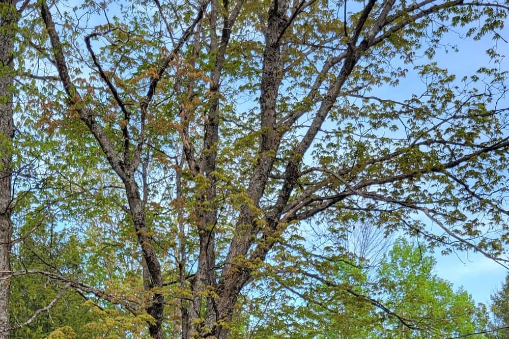 Photo of Outdoor in Manitoulin District