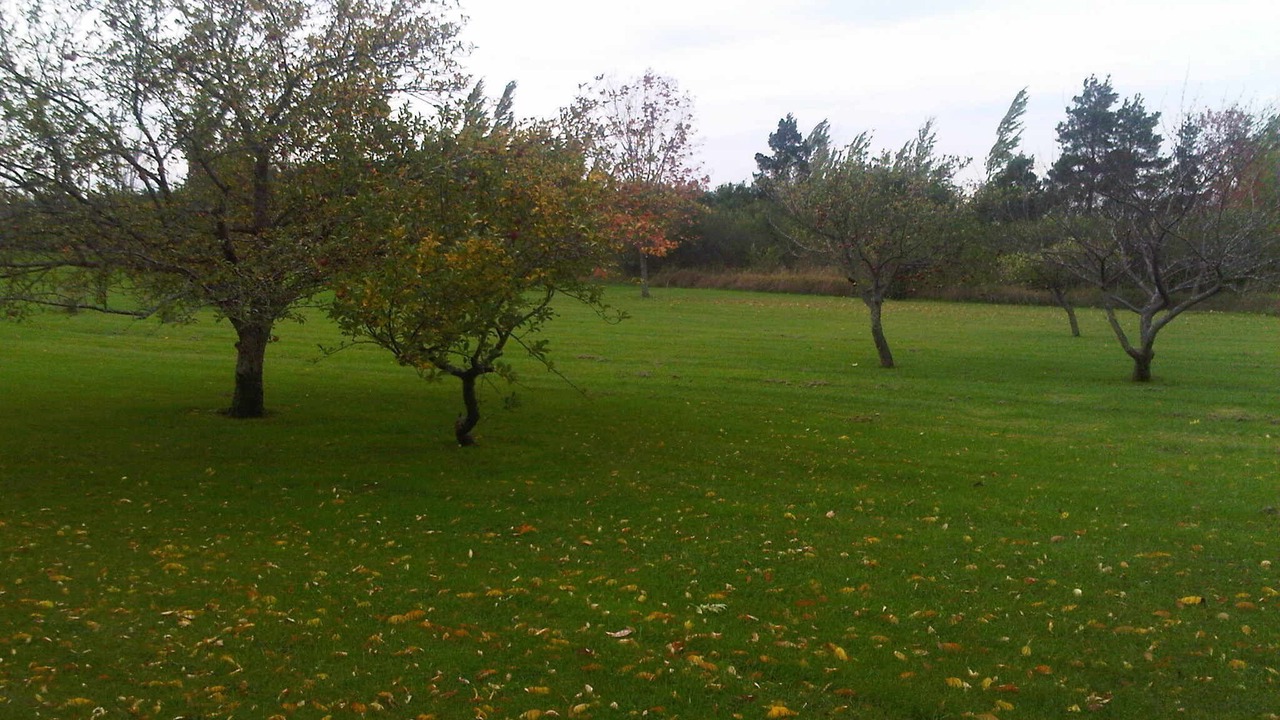 Photo of Others in Meaford