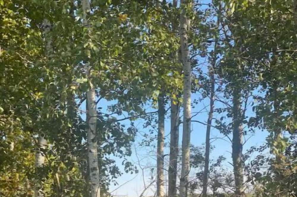 Photo of Others in Bemidji